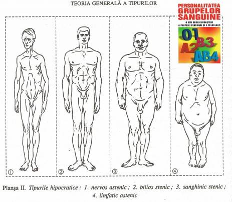 tipologie trupurilor